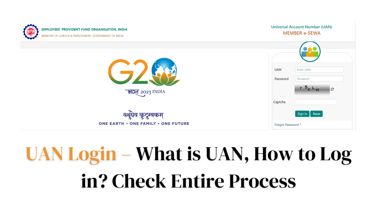 UAN Login – What is UAN, How to Log in? Check Entire Process